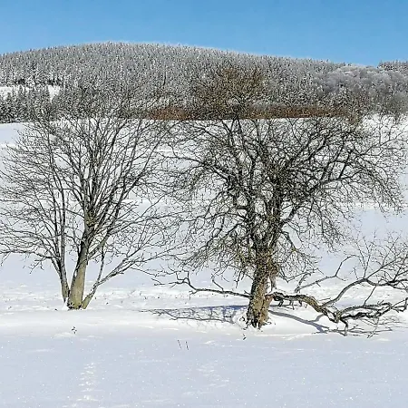 Ferienhaus Kuestille * Medebach